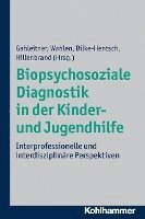 bokomslag Biopsychosoziale Diagnostik in Der Kinder- Und Jugendhilfe: Interprofessionelle Und Interdisziplinare Perspektiven