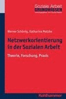 bokomslag Netzwerkorientierung in Der Sozialen Arbeit: Theorie, Forschung, PRAXIS