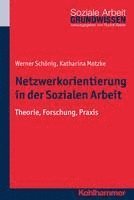 bokomslag Netzwerkorientierung in Der Sozialen Arbeit: Theorie, Forschung, PRAXIS