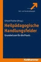 bokomslag Heilpädagogische Handlungsfelder