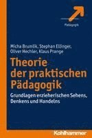 bokomslag Theorie Der Praktischen Padagogik: Grundlagen Erzieherischen Sehens, Denkens Und Handelns