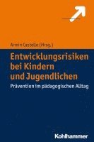 bokomslag Entwicklungsrisiken Bei Kindern Und Jugendlichen: Pravention Im Padagogischen Alltag