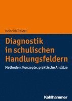 bokomslag Diagnostik in Schulischen Handlungsfeldern: Methoden, Konzepte, Praktische Ansatze