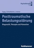 bokomslag Posttraumatische Belastungsstorung: Diagnostik, Therapie Und Pravention