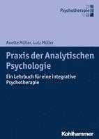 bokomslag PRAXIS Der Analytischen Psychologie: Ein Lehrbuch Fur Eine Integrative Psychotherapie