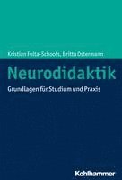 bokomslag Neurodidaktik: Grundlagen Fur Studium Und PRAXIS