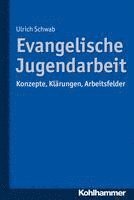 bokomslag Evangelische Jugendarbeit: Konzepte, Klarungen, Arbeitsfelder
