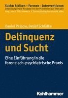 Daniel Passow, Detlef Schlafke - Delinquenz Und Sucht: Eine Einfuhrung in Die Forensisch-Psychiatrische PRAXIS, Häftad