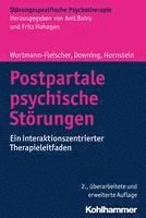 bokomslag Postpartale Psychische Storungen: Ein Interaktionszentrierter Therapieleitfaden