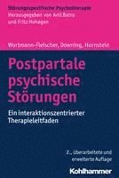 Postpartale Psychische Storungen: Ein Interaktionszentrierter Therapieleitfaden 1