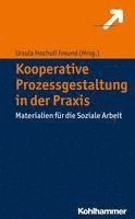 bokomslag Kooperative Prozessgestaltung in Der PRAXIS: Materialien Fur Die Soziale Arbeit