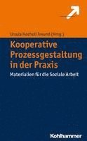 bokomslag Kooperative Prozessgestaltung in der Praxis