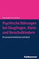 bokomslag Psychische Storungen Bei Sauglingen, Klein- Und Vorschulkindern: Ein Praxisorientiertes Lehrbuch