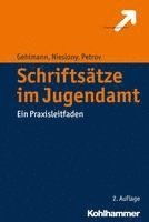 bokomslag Schriftsatze Im Jugendamt: Ein Praxisleitfaden