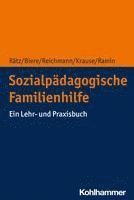 bokomslag Sozialpadagogische Familienhilfe: Ein Lehr- Und Praxisbuch