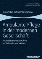 bokomslag Ambulante Pflege in Der Modernen Gesellschaft: Aktuelle Bestandsaufnahme Und Zukunftsperspektiven