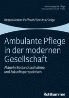 Ruth Ketzer, Renate Adam-Paffrath, Manfred Borutta, Karola Selge - Ambulante Pflege in Der Modernen Gesellschaft: Aktuelle Bestandsaufnahme Und Zukunftsperspektiven, Häftad