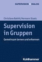 bokomslag Supervision in Gruppen: Gemeinsam Lernen Und Erkennen