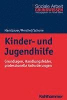 bokomslag Kinder- Und Jugendhilfe: Grundlagen, Handlungsfelder, Professionelle Anforderungen