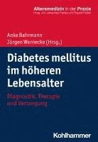 bokomslag Diabetes Mellitus Im Hoheren Lebensalter: Diagnostik, Therapie Und Versorgung