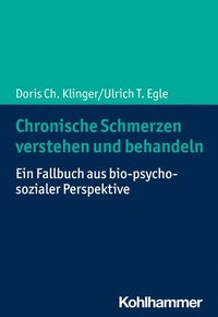bokomslag Chronische Schmerzen verstehen und behandeln