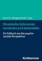 bokomslag Chronische Schmerzen Verstehen Und Behandeln: Ein Fallbuch Aus Bio-Psycho-Sozialer Perspektive