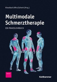 bokomslag Multimodale Schmerztherapie: Ein Praxislehrbuch