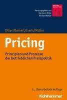 bokomslag Pricing: Prinzipien Und Prozesse Der Betrieblichen Preispolitik
