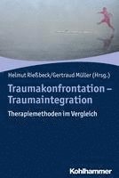 bokomslag Traumakonfrontation - Traumaintegration: Therapiemethoden Im Vergleich