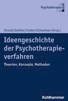 bokomslag Ideengeschichte Der Psychotherapieverfahren: Theorien, Konzepte, Methoden