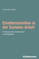bokomslag Einelternfamilien in der Sozialen Arbeit