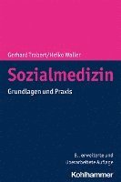 bokomslag Sozialmedizin: Grundlagen Und Praxis