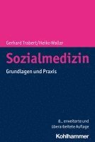 bokomslag Sozialmedizin: Grundlagen Und Praxis