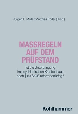 bokomslag Maßregeln auf dem Prüfstand