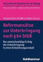bokomslag Reformansatze Zur Unterbringung Nach 64 StGB: Der Zweischneidige Erfolg Der Unterbringung in Einer Entziehungsanstalt