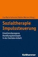 bokomslag Sozialtherapie Impulssteuerung: Emotionsbezogene Handlungskonzepte in Der Sozialen Arbeit