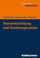 bokomslag Teamentwicklung Und Teamkooperation