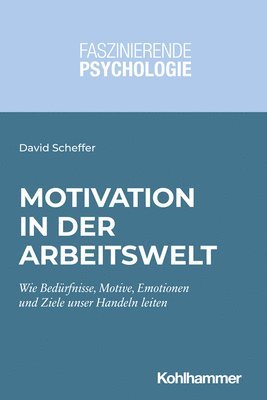 bokomslag Motivation in der Arbeitswelt