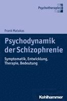 bokomslag Psychodynamik Der Schizophrenie: Symptomatik, Entwicklung, Therapie, Bedeutung