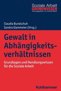 bokomslag Gewalt in Abhangigkeitsverhaltnissen: Grundlagen Und Handlungswissen Fur Die Soziale Arbeit