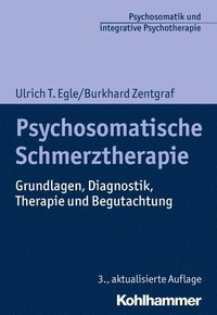 bokomslag Psychosomatische Schmerztherapie: Grundlagen, Diagnostik, Therapie Und Begutachtung