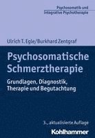 bokomslag Psychosomatische Schmerztherapie: Grundlagen, Diagnostik, Therapie Und Begutachtung