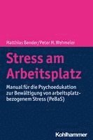 bokomslag Stress Am Arbeitsplatz: Manual Fur Die Psychoedukation Zur Bewaltigung Von Arbeitsplatzbezogenem Stress (Pebas)