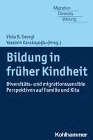 bokomslag Bildung in Fruher Kindheit: Diversitats- Und Migrationssensible Perspektiven Auf Familie Und Kita