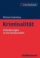 Kriminalitat: Anforderungen an Die Soziale Arbeit