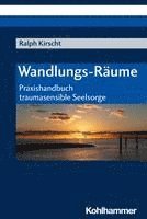 bokomslag Wandlungs-Raume: Praxishandbuch Traumasensible Seelsorge
