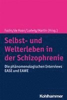 bokomslag Selbst- Und Welterleben in Der Schizophrenie: Die Phanomenologischen Interviews Ease Und Eawe