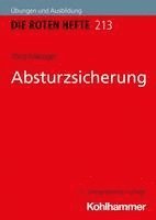 Absturzsicherung 1