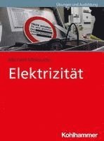 bokomslag Elektrizitat