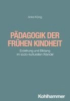 bokomslag Padagogik Der Fruhen Kindheit: Erziehung Und Bildung Im Sozio-Kulturellen Wandel